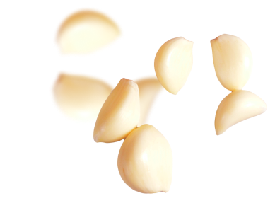 dbesto